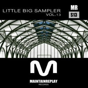 Little Big Sampler, Vol. 13