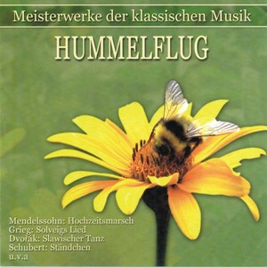 Meisterwerke der klassischen Musik: Hummelflug - 21 Ungarische Tänze, WoO 1: No. 5 in F-Sharp Minor, Allegro