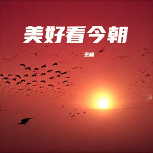 美好看今朝