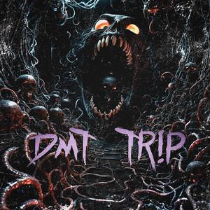 DMT TR!P (Explicit)