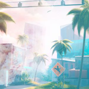 Palm Trees and Beats