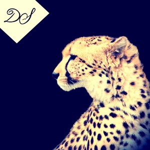 Llulabies (Original Mix)