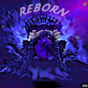 Reborn (Explicit)