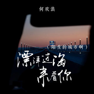 漂洋过海来看你 (陌生的城市啊)