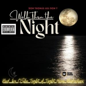 Walk Thru the Night (Explicit)