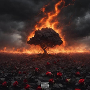 H.D.M.I (Radio Version)