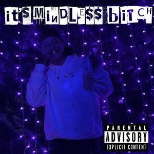 It Mindless ***** (Explicit)