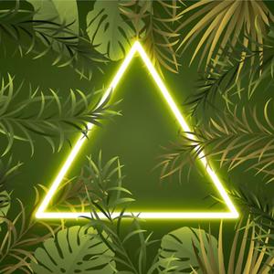 Light Between the Branches