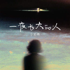 一夜长大的人