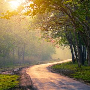 The Path to Tranquility