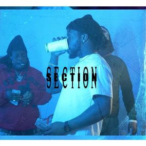 Section (feat. Gambino kaash) [Explicit]