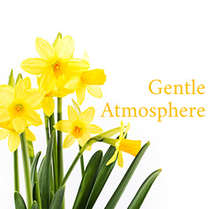 Gentle Atmosphere (Very Soft & Easy Jazz Music)