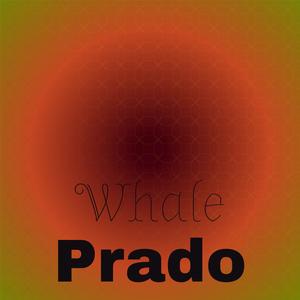 Whale Prado