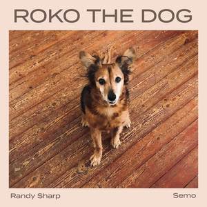 Roko the Dog