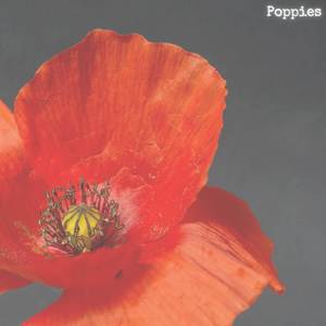 Poppies (Explicit)