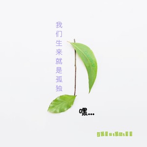 梵高先生
