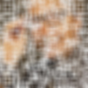 Non smetto di aspettarti