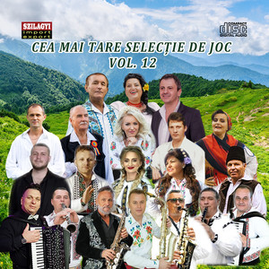 Cea Mai Tare Selectie De Joc, Vol. 12