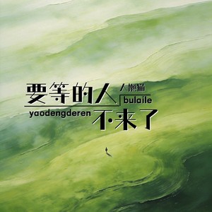 要等的人不来了封面