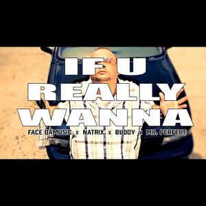 If U Really Wanna (feat. Natrix, Buddy & Mr. Perfect) [Explicit]