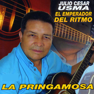 La Pringamosa