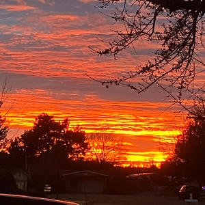 TribeSide (feat. DREWBIE & LC TwoHunnaa) (Explicit)