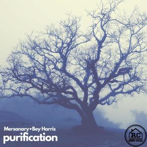 Purification (Explicit)