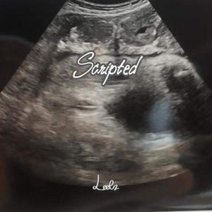 Scripted Art (Explicit)