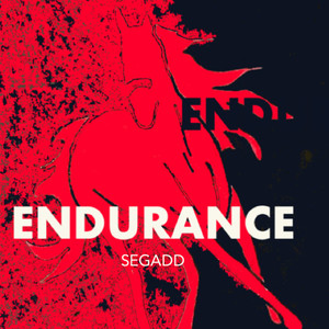 Endurance