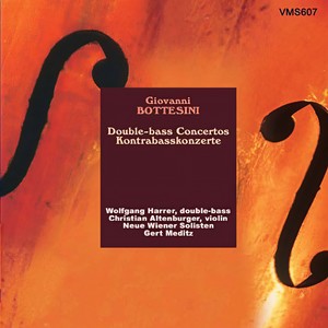 Gran Duo Concertant for Violin, Double-Bass and Strings