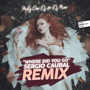 Where Did You Go (Sergio Caubal Remix)