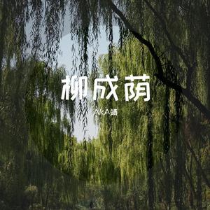 柳成荫封面