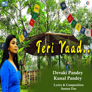 Teri Yad Mujhko Sataye - Single