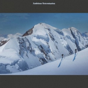 Bonsai Drums+Bass Loop