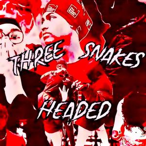Three Headed Snakes (feat. realtallsoldier & KhaaDizzy) [Explicit]