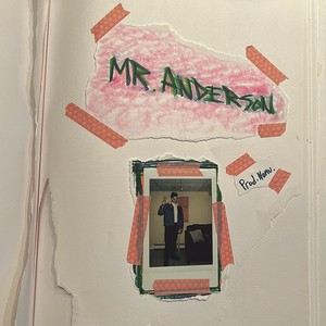 mr. anderson