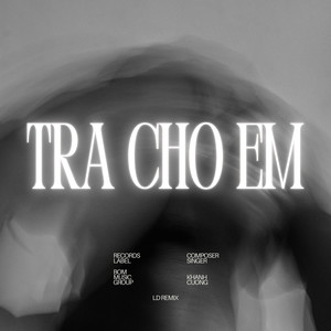 Trả Cho Em (LD Remix)