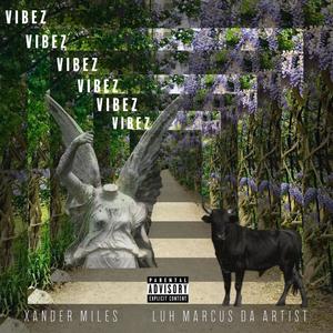 Vibez (feat. Xander Miles) (Explicit)