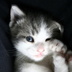 一个深爱的女孩