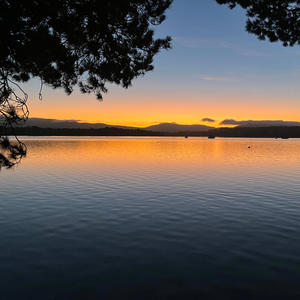 Golden Breeze (feat. Miss Kitty)