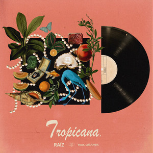 Tropicana