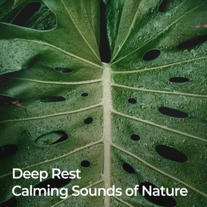 Deep Rest: Calming Sounds of Nature