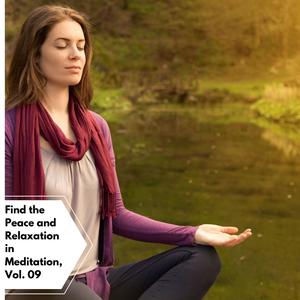 Find The Peace And Relaxation In Meditation, Vol. 09