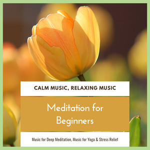 Meditation For Beginners (Calm Music, Relaxing Music, Music For Deep Meditation, Music For Yoga & Stress Relief)