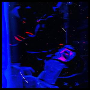 Nights Without You (feat. Schalemale & LLLara)