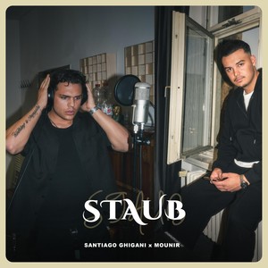 Staub
