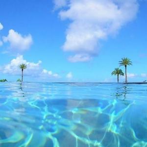 femboyshooter (Explicit)