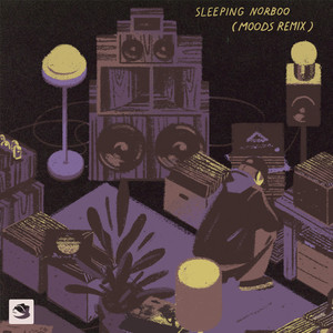 Sleeping Norboo (Moods Remix)