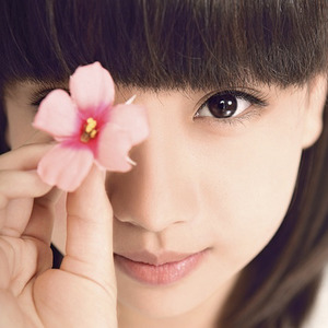 我不愿擦去鞋上的泥