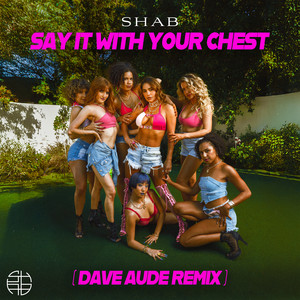 Say It With Your Chest (Dave Audé Remix)